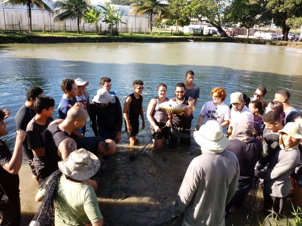 Estudantes da pesca participam de atividade de despesca na estação de aquicultura