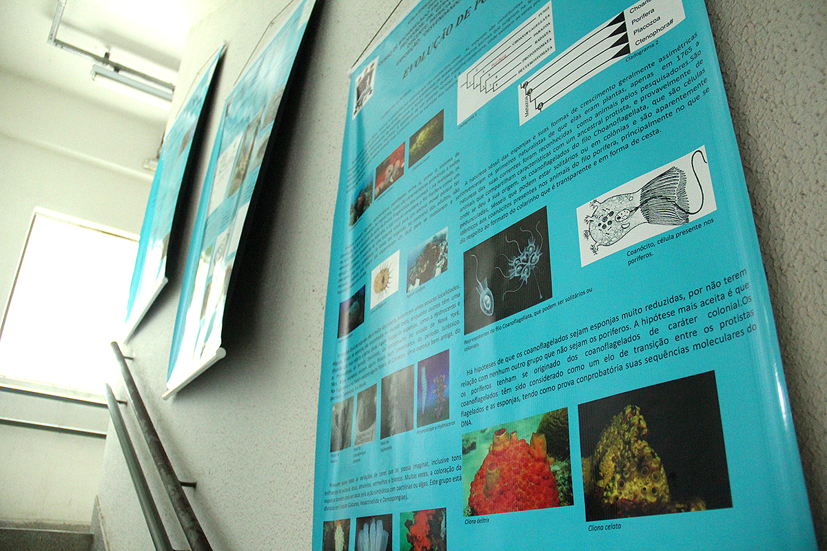 foto dos cartazes da exposição na escadaria do Departamento de Biologia. Cartazes azuis com fotos e textos curtos